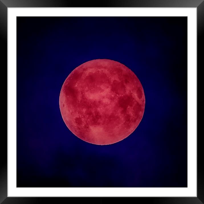 Wolf Moon 2018 Framed Mounted Print by Andrew chittock