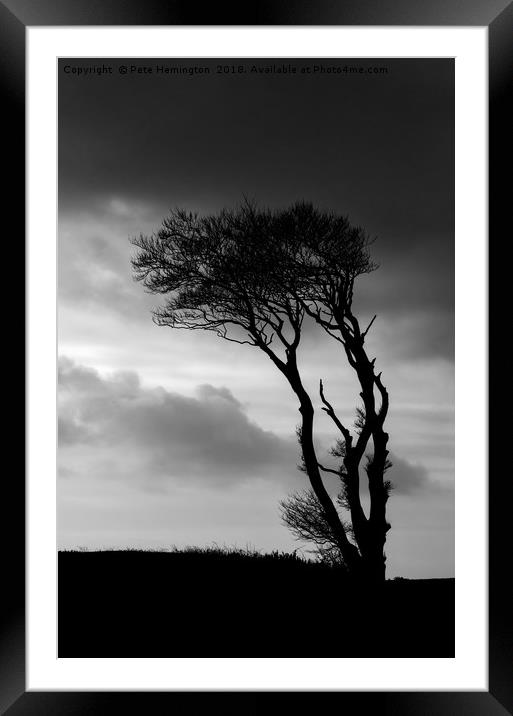 A lone tree at Horns Cross Framed Mounted Print by Pete Hemington