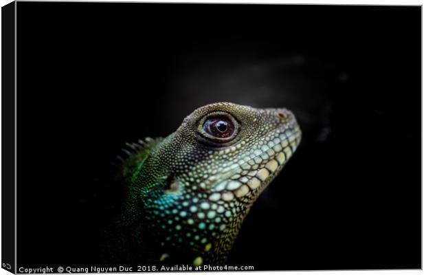 Iguana Eyes Side view Canvas Print by Quang Nguyen Duc