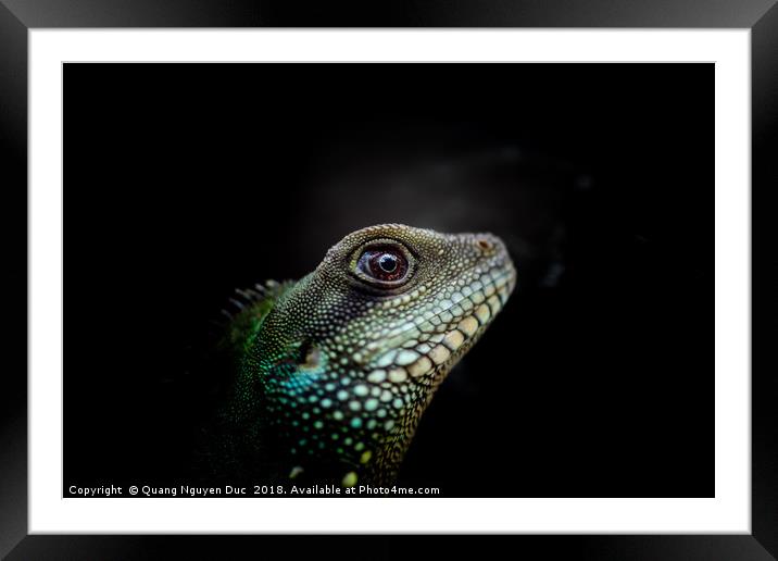 Iguana Eyes Side view Framed Mounted Print by Quang Nguyen Duc