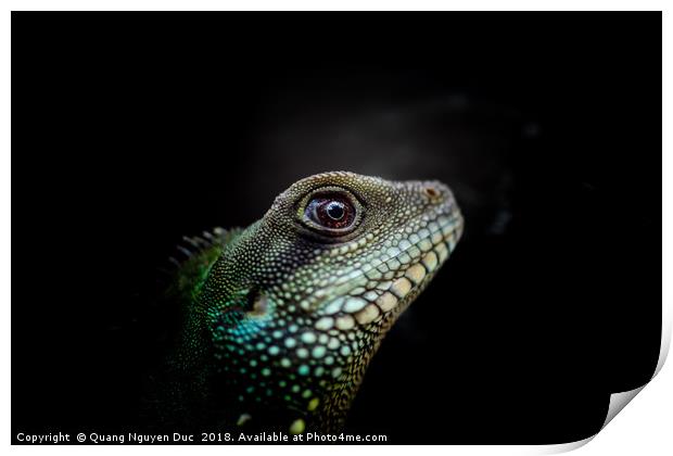 Iguana Eyes Side view Print by Quang Nguyen Duc