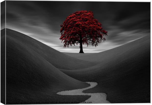 The Red Tree Canvas Print by Heaven's Gift xxx68