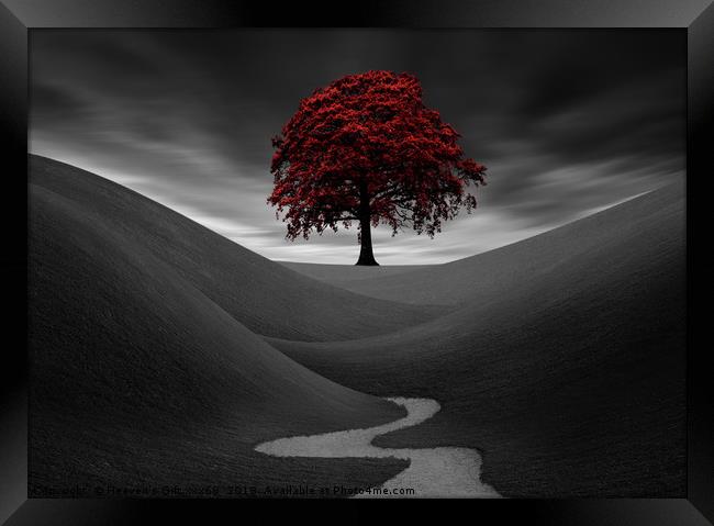 The Red Tree Framed Print by Heaven's Gift xxx68