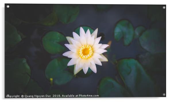 Water Lily Acrylic by Quang Nguyen Duc