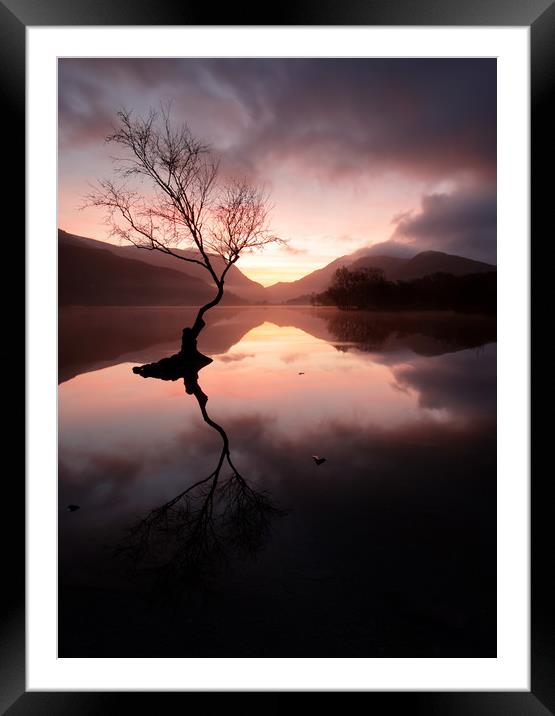 Llyn Padarn sunrise Framed Mounted Print by Andy Davis