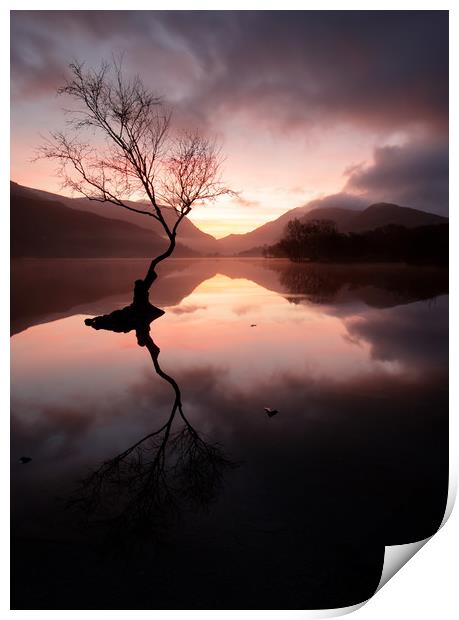 Llyn Padarn sunrise Print by Andy Davis