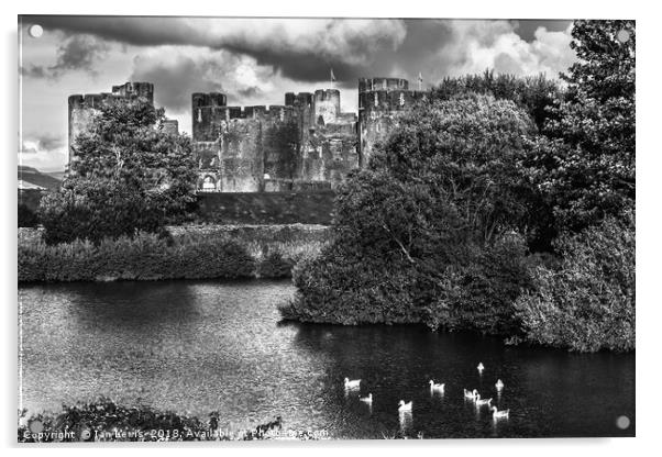 Caerphilly Castle Western Towers mono Acrylic by Ian Lewis