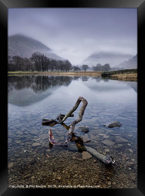 Brothers Water Branch Framed Print by Phil Buckle