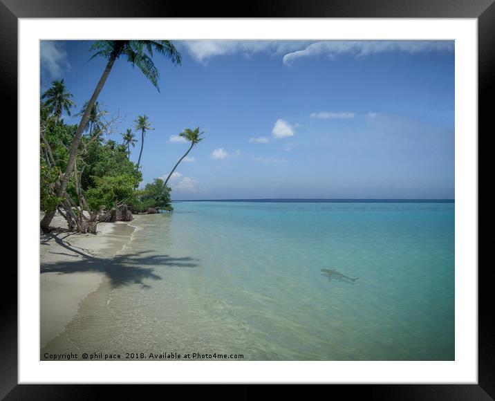 Paradise on Kuredu island Framed Mounted Print by phil pace