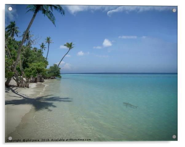 Paradise on Kuredu island Acrylic by phil pace