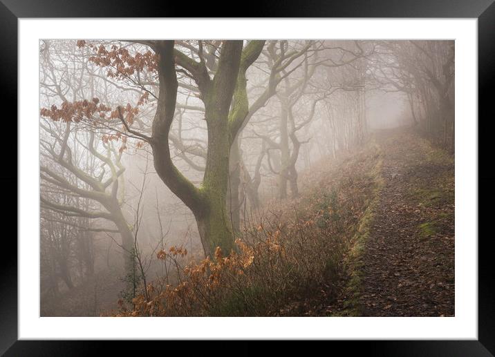 In the woods, Phillipstown - New Tredegar Framed Mounted Print by Ramas King