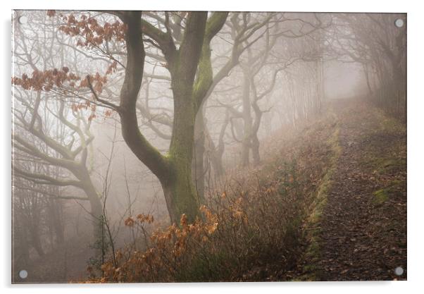 In the woods, Phillipstown - New Tredegar Acrylic by Ramas King