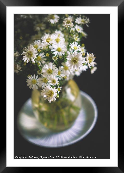 Daisy Vessel Framed Mounted Print by Quang Nguyen Duc