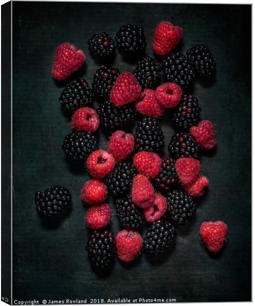 Blackberries & Raspberries Canvas Print by James Rowland