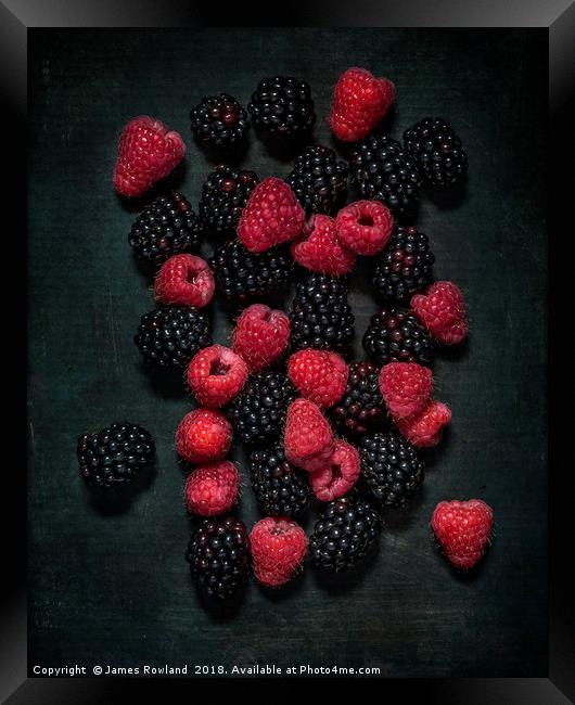 Blackberries & Raspberries Framed Print by James Rowland