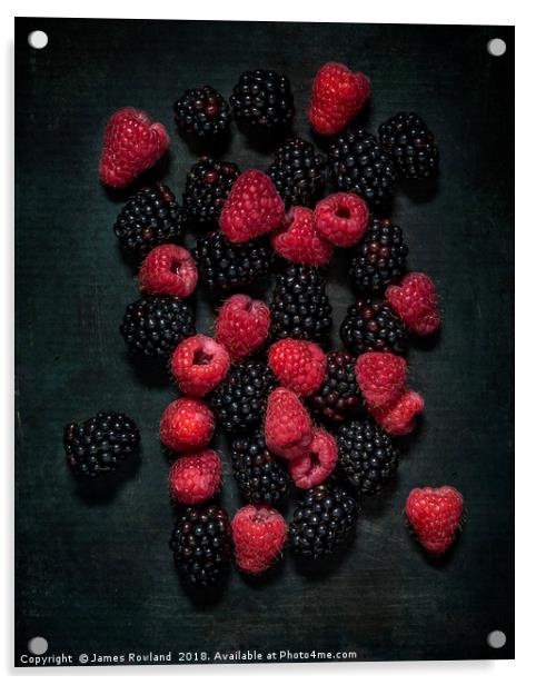 Blackberries & Raspberries Acrylic by James Rowland