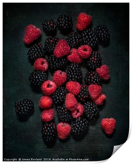 Blackberries & Raspberries Print by James Rowland