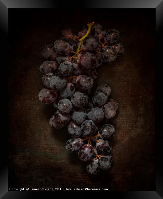 Dark Grapes Framed Print by James Rowland