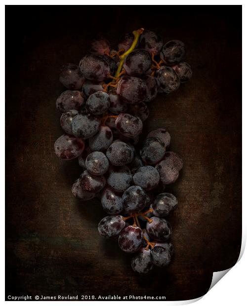 Dark Grapes Print by James Rowland