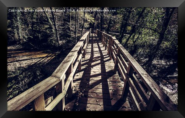 Footbridge leading to the forest Framed Print by Juan Ramón Ramos Rivero