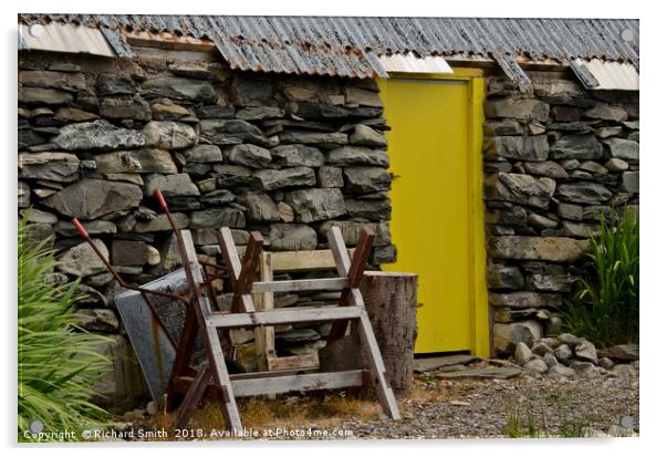 Outhouse yellow door Acrylic by Richard Smith