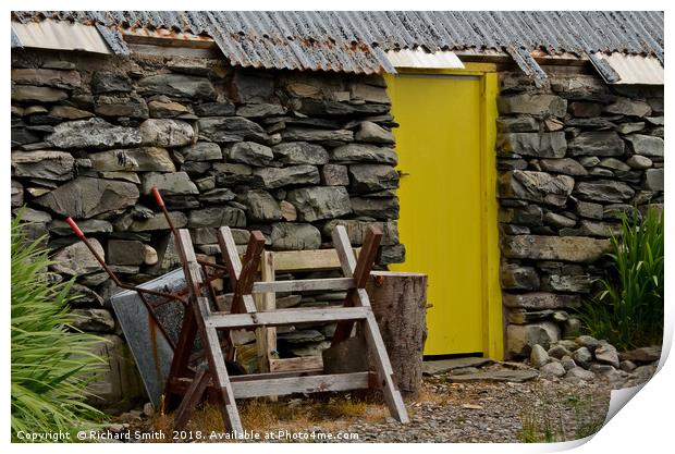Outhouse yellow door Print by Richard Smith
