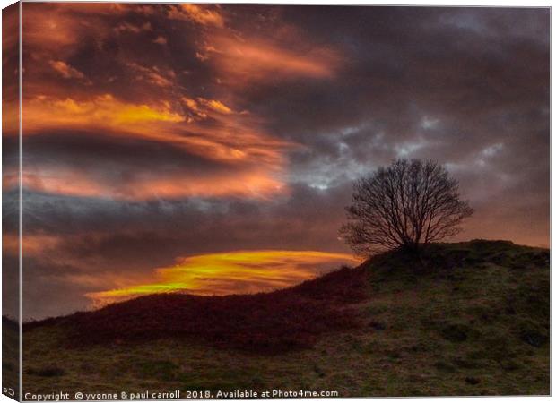 Dramatic sunset - tree on a hill Canvas Print by yvonne & paul carroll