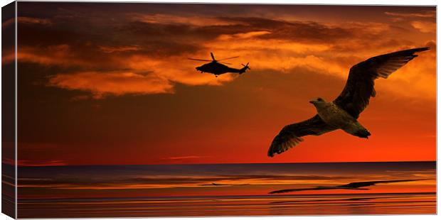 Two Birds At Sunset Canvas Print by Ian Jeffrey