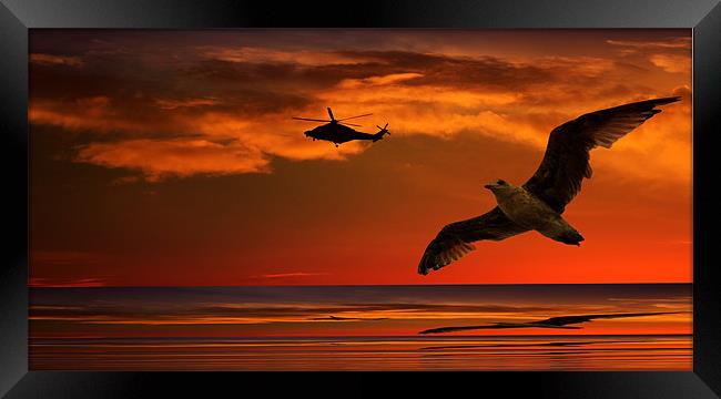 Two Birds At Sunset Framed Print by Ian Jeffrey