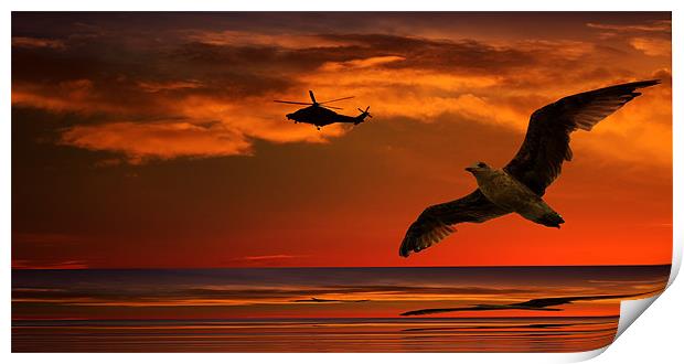 Two Birds At Sunset Print by Ian Jeffrey