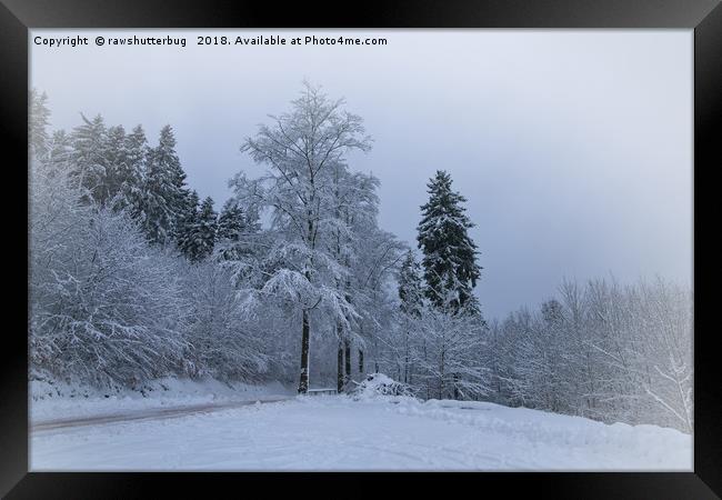 Winter Feeling Framed Print by rawshutterbug 