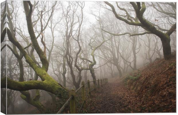Into the misty oak woodlands - Rhymney Valley Canvas Print by Ramas King