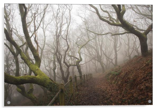Into the misty oak woodlands - Rhymney Valley Acrylic by Ramas King