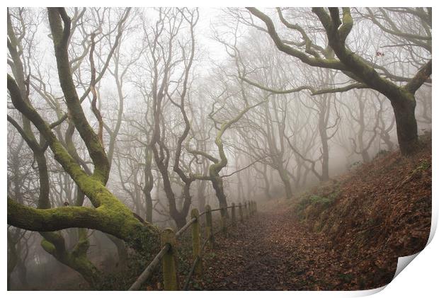 Into the misty oak woodlands - Rhymney Valley Print by Ramas King