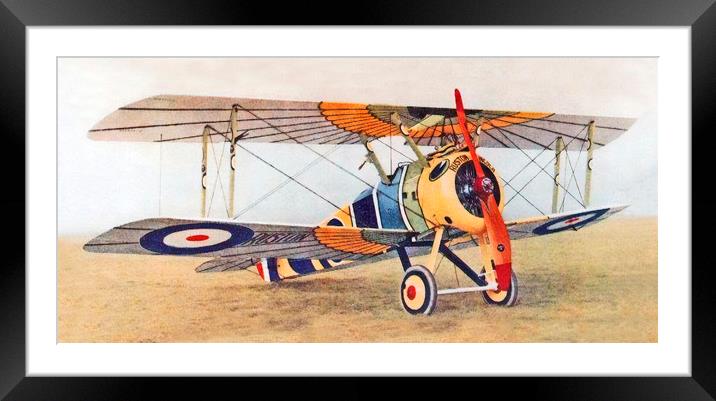 Sopwith Camel "Wings of Horus", 1000th Camel built Framed Mounted Print by Chris Langley