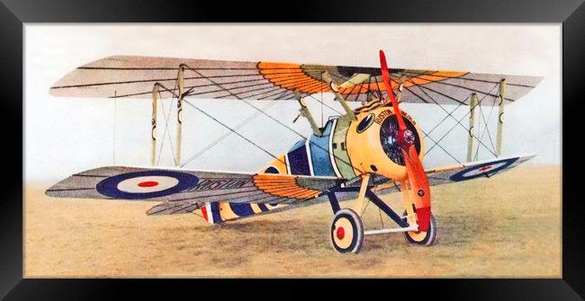 Sopwith Camel "Wings of Horus", 1000th Camel built Framed Print by Chris Langley