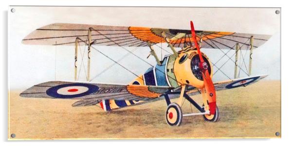 Sopwith Camel "Wings of Horus", 1000th Camel built Acrylic by Chris Langley