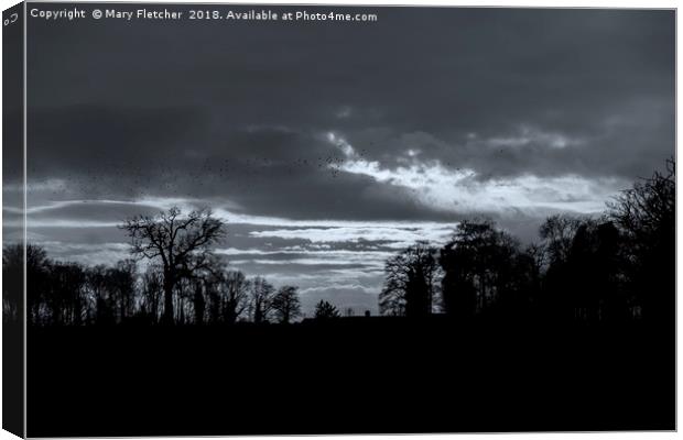 Flying home to roost Canvas Print by Mary Fletcher