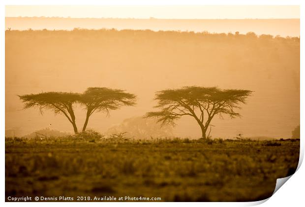 Kenyan Morning Print by Dennis Platts