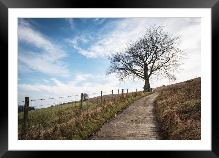 Lone tree - view towards Machen mountain Framed Mounted Print by Ramas King
