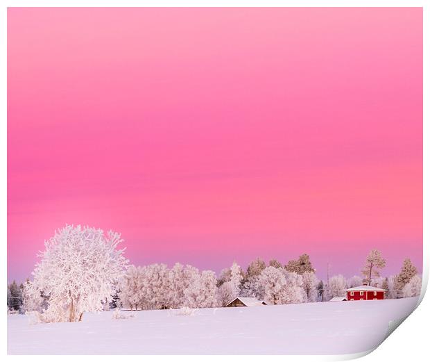 A pink winter  sunset in Sweden Print by Hamperium Photography