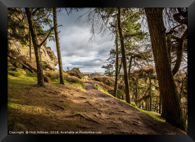 Out of the woods, The Roaches, Peak District, UK Framed Print by Nick Hillman