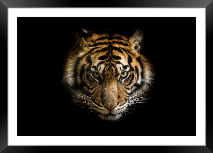 From the darkness it comes  Framed Mounted Print by stephen king