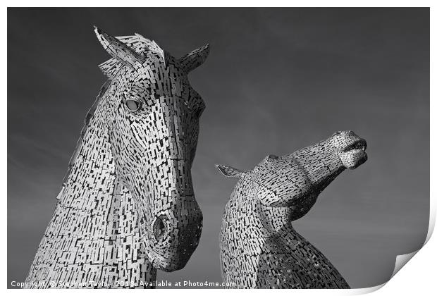 The Kelpies Print by Stephen Taylor