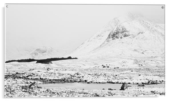 Rannoch Moor Acrylic by Stephen Taylor