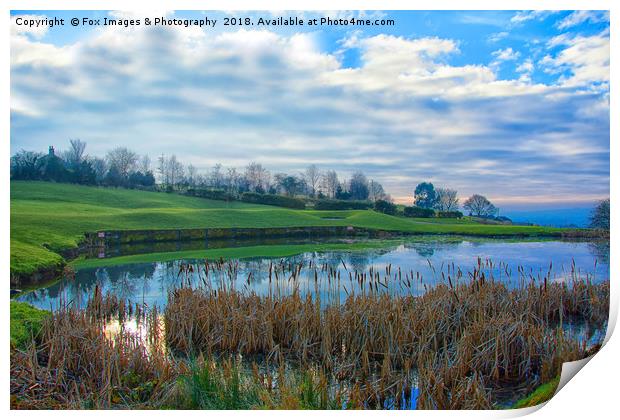  The Pond At Walmersley Golf Club Print by Derrick Fox Lomax