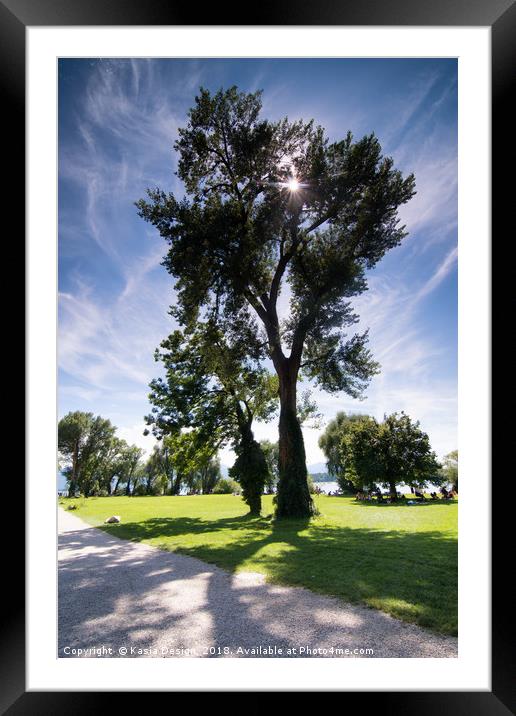 Magnificent Tree Framed Mounted Print by Kasia Design
