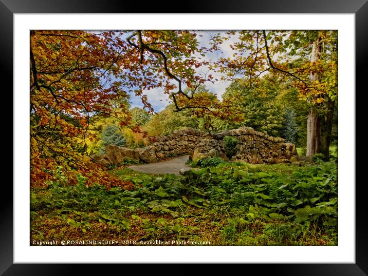 "Little stone bridge in the park" Framed Mounted Print by ROS RIDLEY