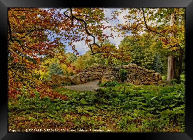 "Little stone bridge in the park" Framed Print by ROS RIDLEY