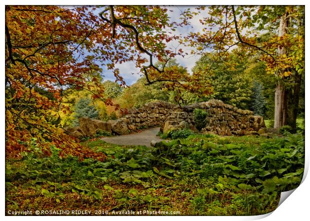 "Little stone bridge in the park" Print by ROS RIDLEY